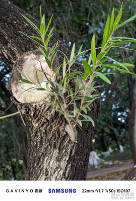 【框住美好】鏡頭下的林林總總