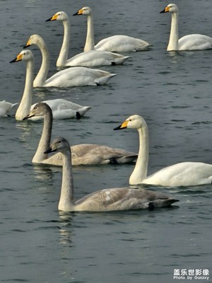 【框住美好】讓美好定格