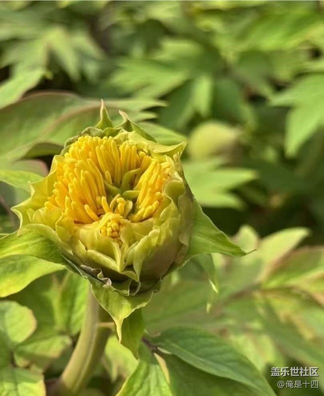 【告別2025】牡丹園