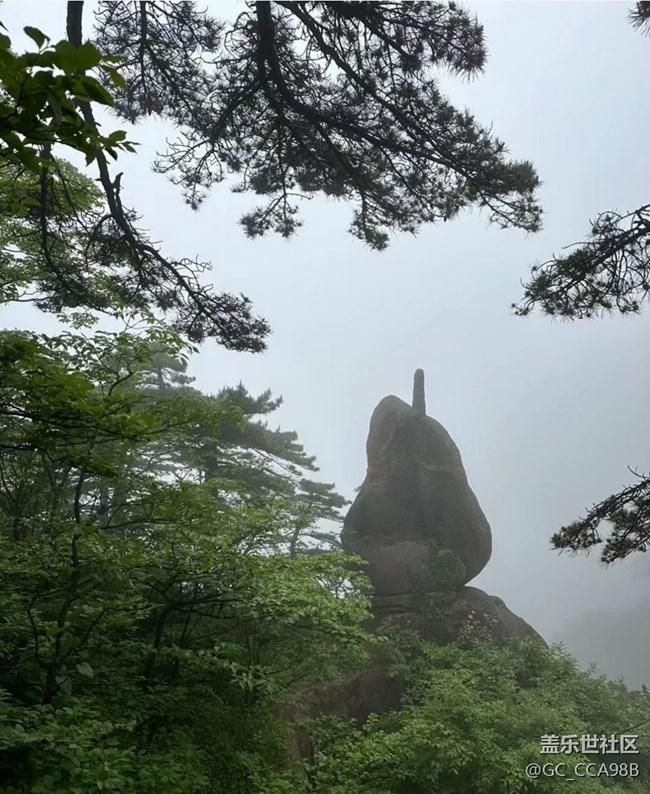 【告別2025】登黃山