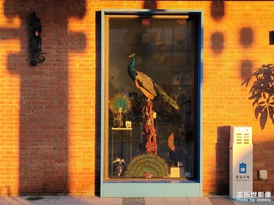 【框住美好】+記錄風(fēng)景