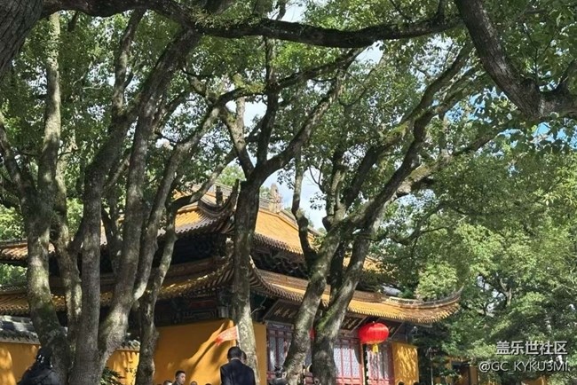 【告別2025】普陀山