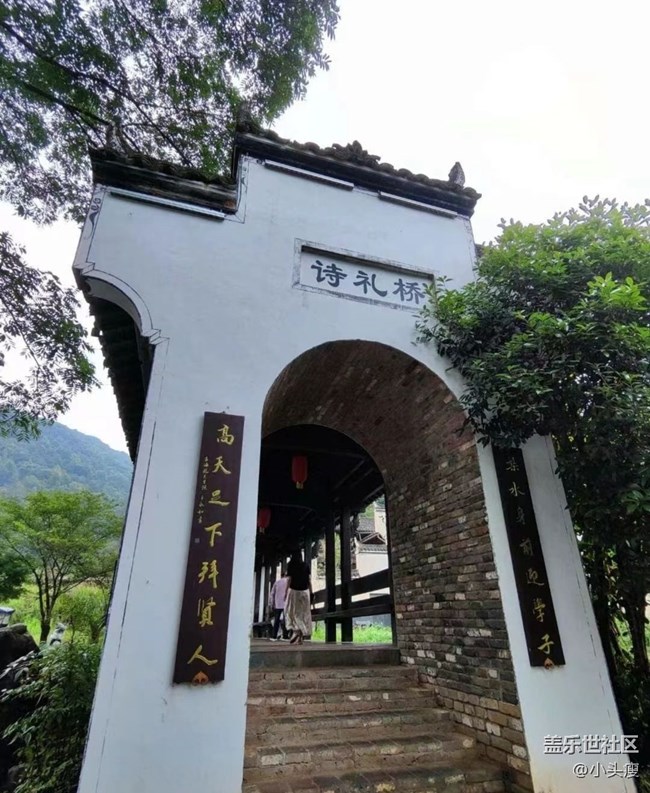 【告別2025】旅旅游