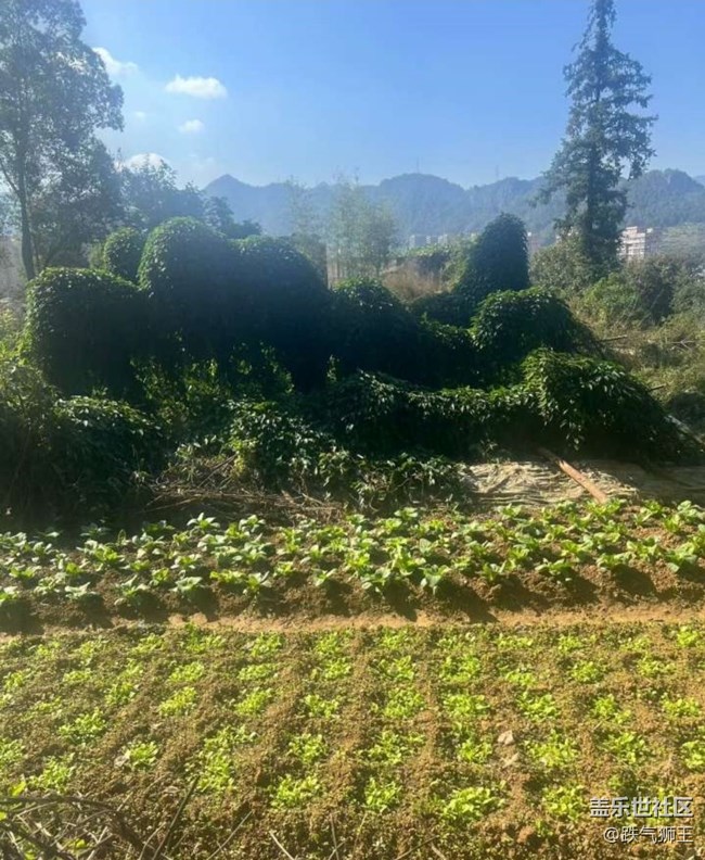 【告別2025】爬山