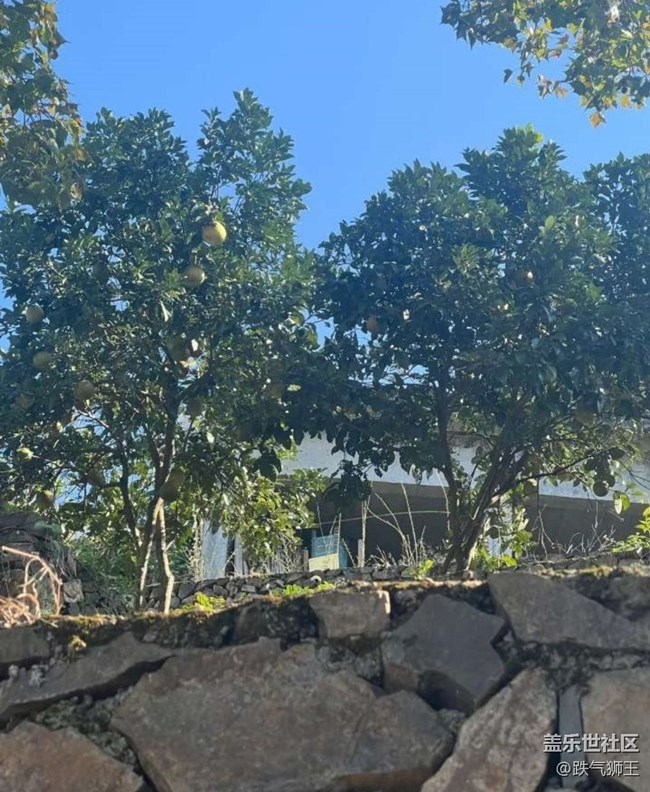 【告別2025】爬山