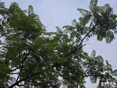 【框住美好】自然的生機(jī)