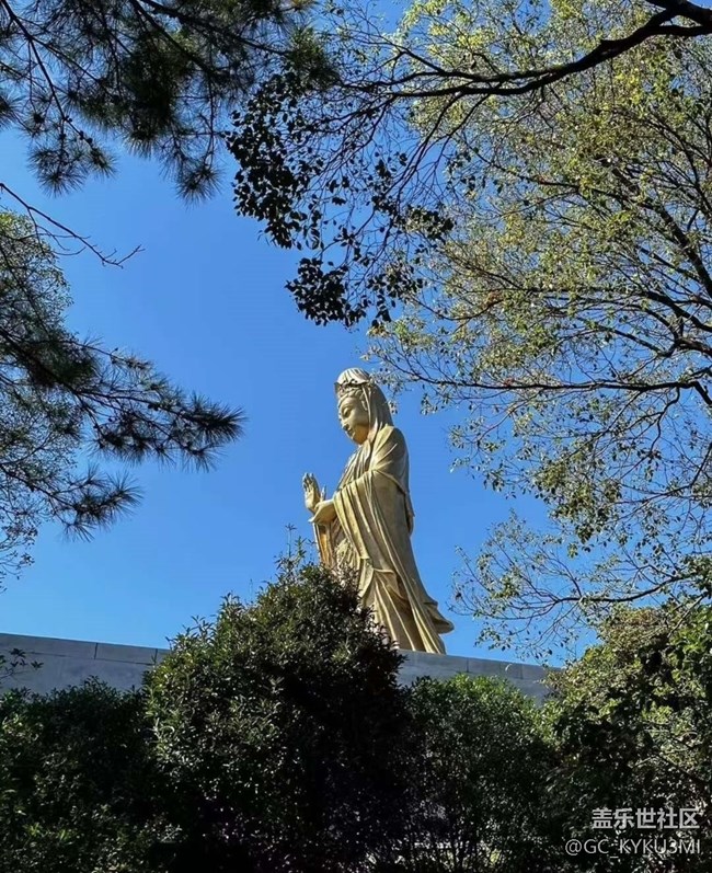 【告別2025】普陀山