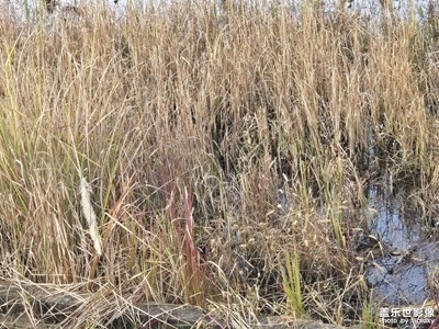 【框住美好】今年美好