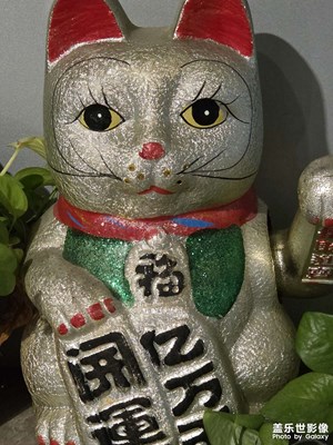 【框住美好】框住那些點(diǎn)滴