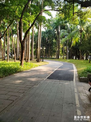 【框住美好】公園日常