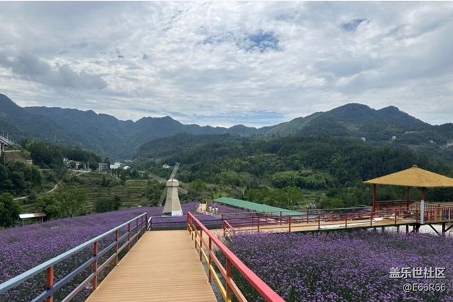 【告別2025】山頂美景