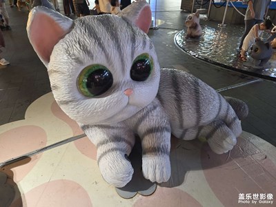 【框住美好】+接受美好