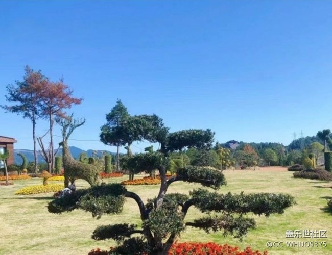 【告別2025】家門口的景