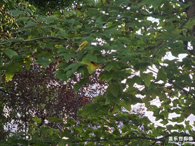 【框住美好】拍下陽光