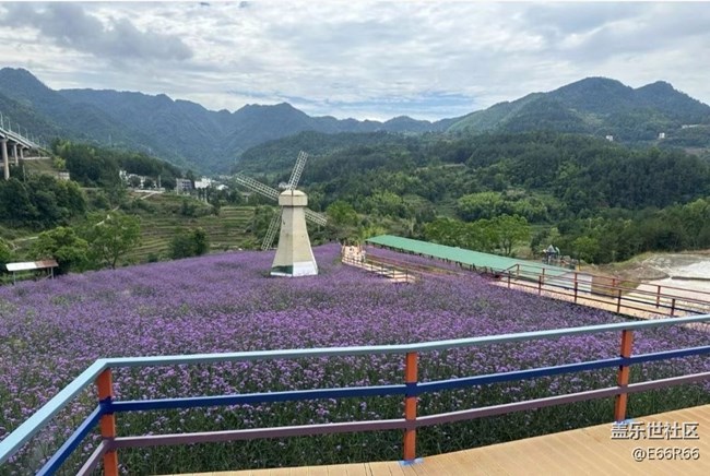 【告別2025】山頂美景