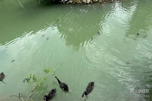 【告別2025】山頂美景