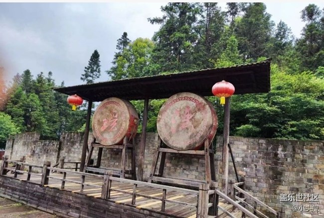 【告別2025】旅旅游