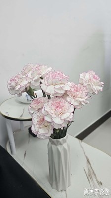 記錄自己，記錄生命