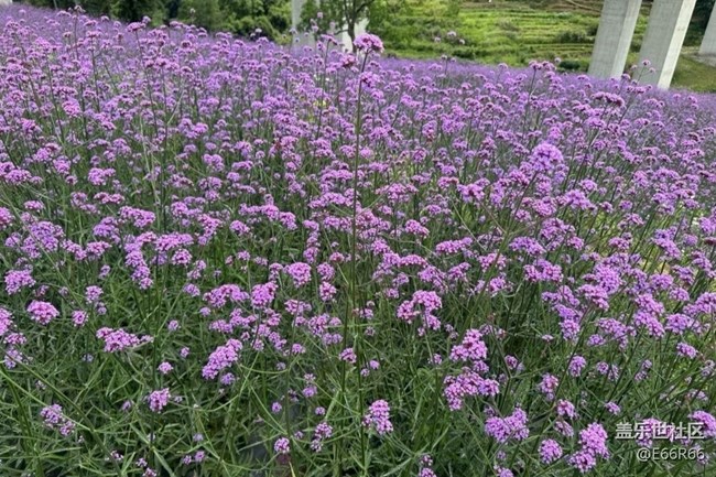 【告別2025】山頂美景