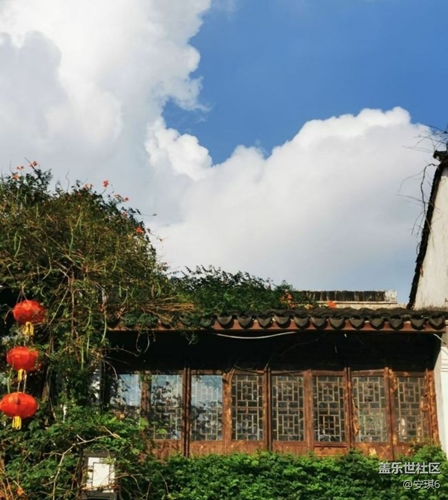 【告別2025】七里山塘