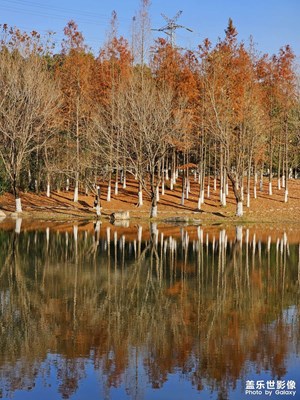 冬日暖陽下的公園