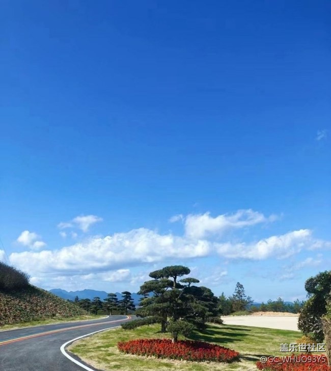 【告別2025】家門口的景