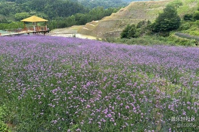 【告別2025】山頂美景