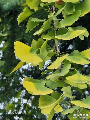 崇尚健康運(yùn)動(dòng)，珍愛寶貴生命