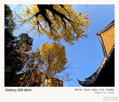 【以光影，敬新年】敬努力的自己