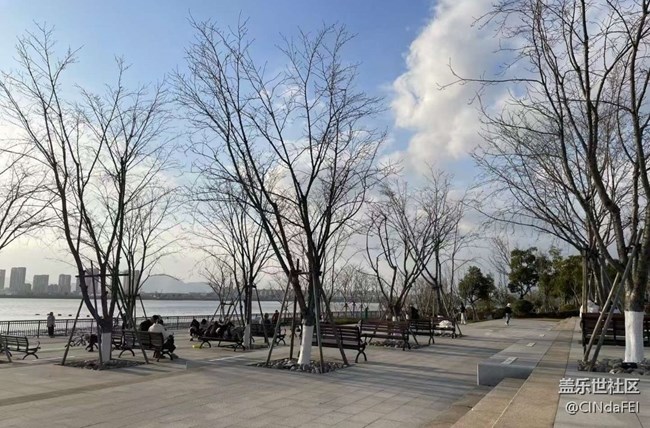 【2026第一站】假期生活