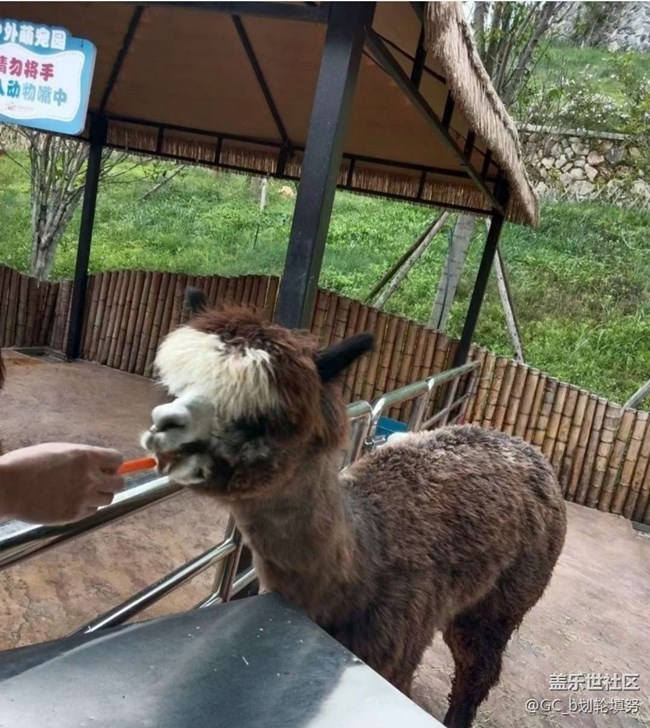 【2026第一站】假期周邊游