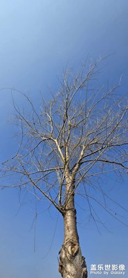 靜默生長(zhǎng)，自成風(fēng)景。