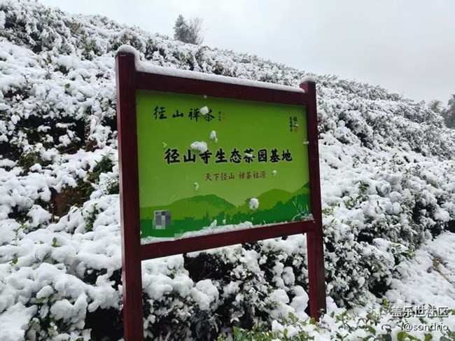 【2026第一站】賞雪