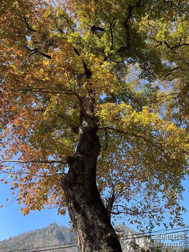 【2026第一站】去爬山