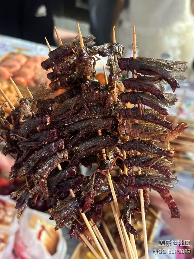 【新歲食語】油炸螞蚱