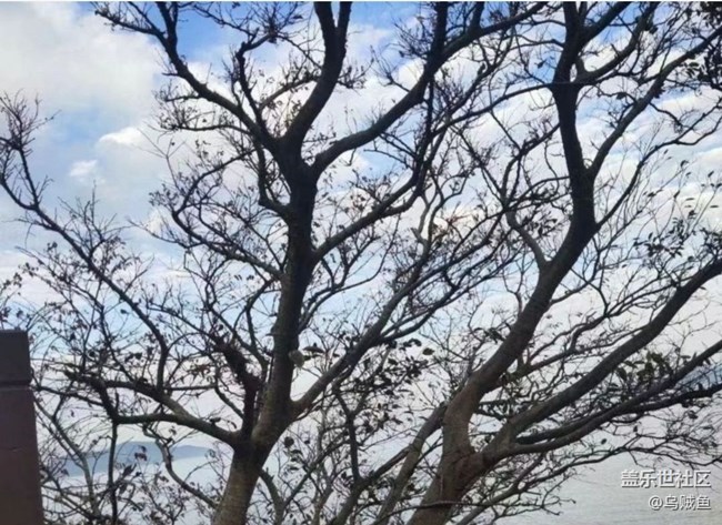 【2026第一站】冷冬