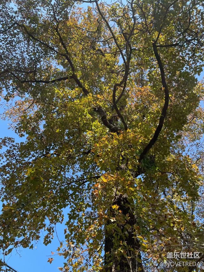 【2026第一站】去爬山