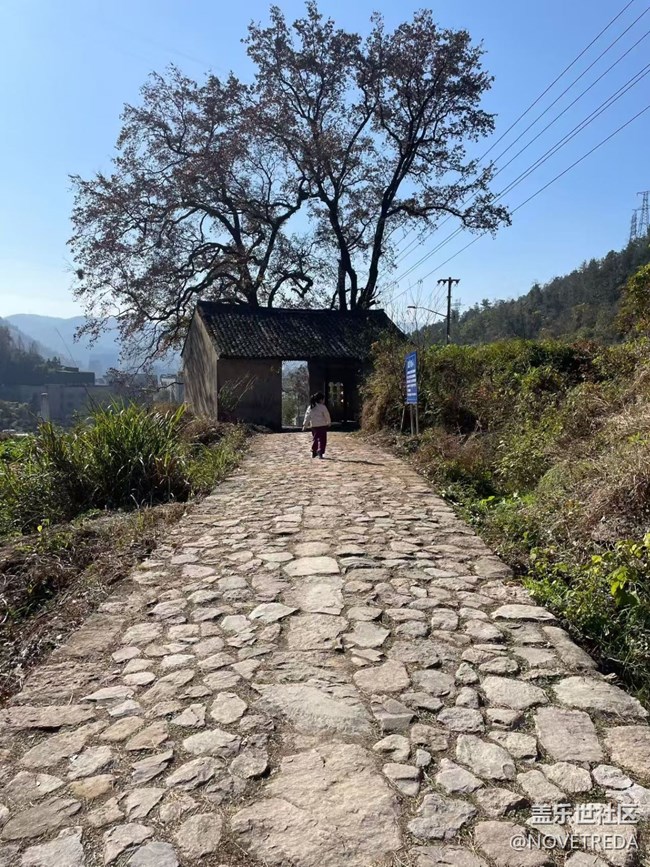 【2026第一站】去爬山