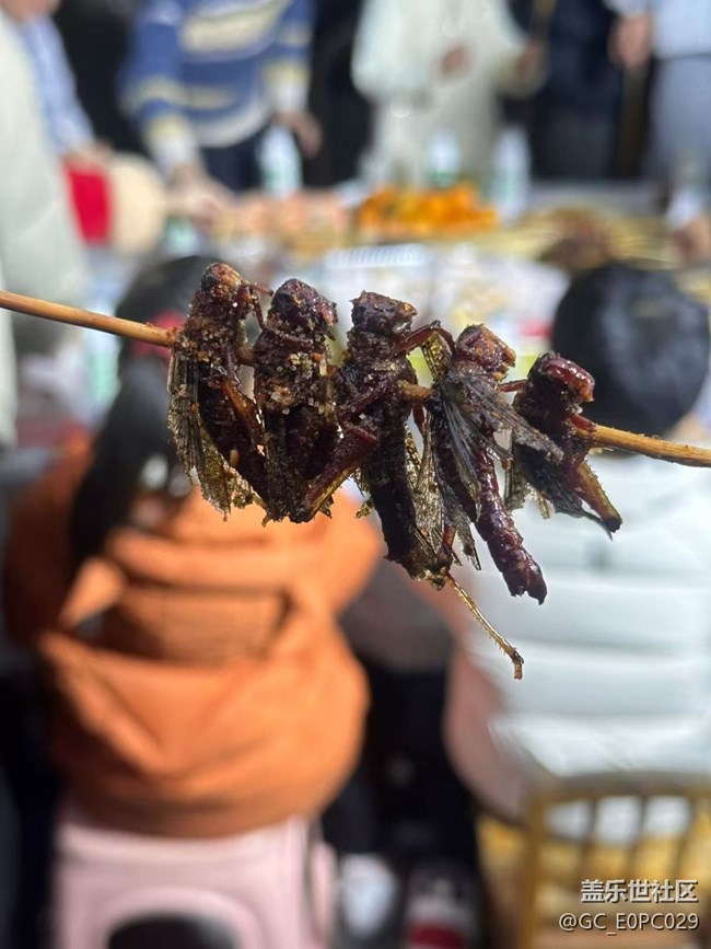 【新歲食語】油炸螞蚱