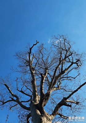 【以光影，敬新年】+藍(lán)藍(lán)的天