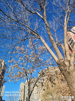 以光影，敬新年 美好的天氣