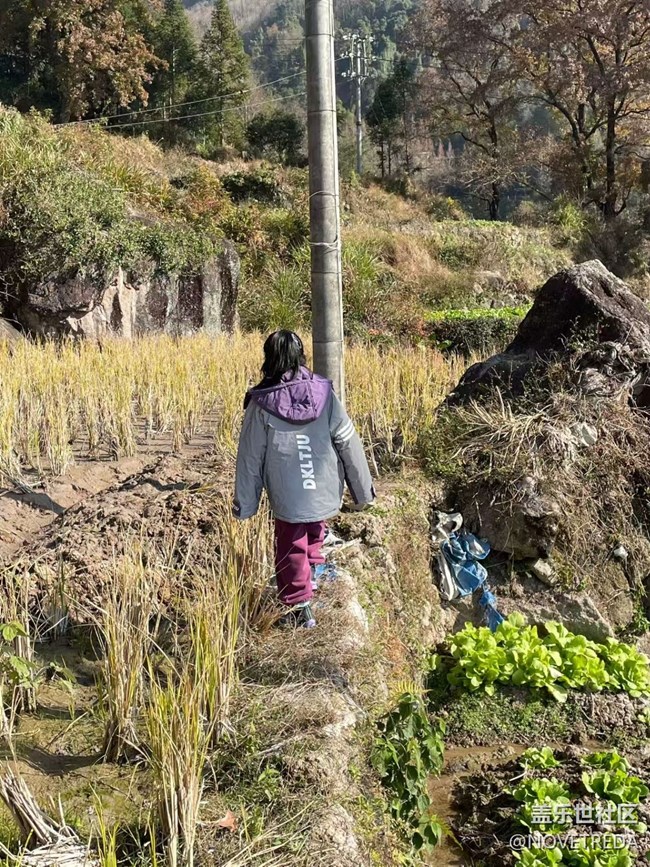 【2026第一站】去爬山