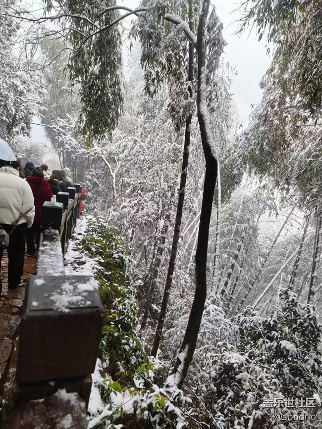 【2026第一站】賞雪