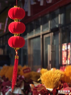 【以光影，敬新年】馬到成功