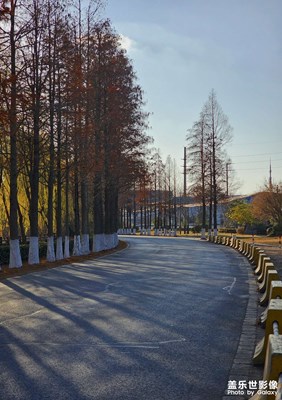 【以光影，敬新年】+鄉(xiāng)間小道