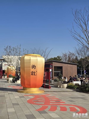 【以光影，敬新年】+您好2026