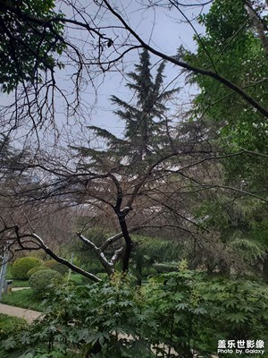 【以光影，敬新年】瑞雪