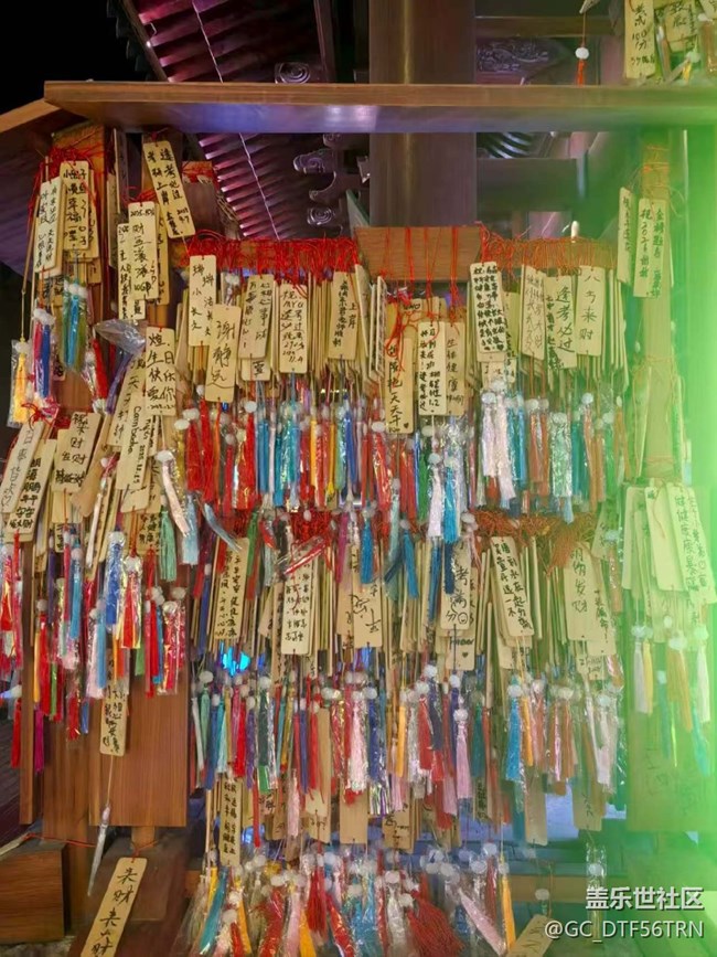 【2026第一站】夜逛