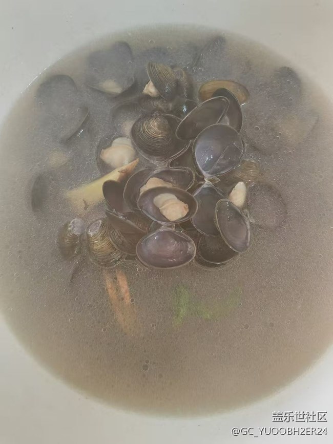 【新歲食語】貝殼湯