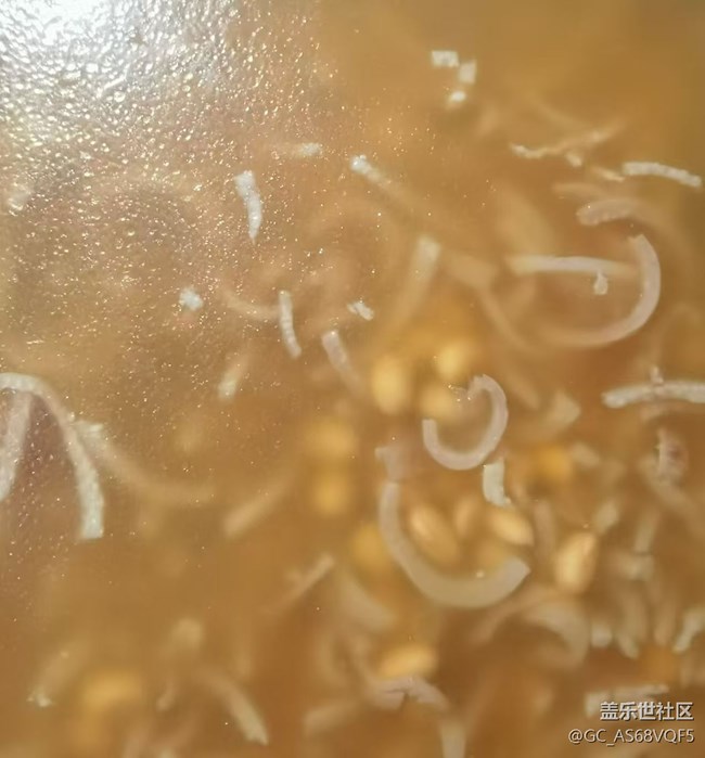 【新歲食語】肉皮凍